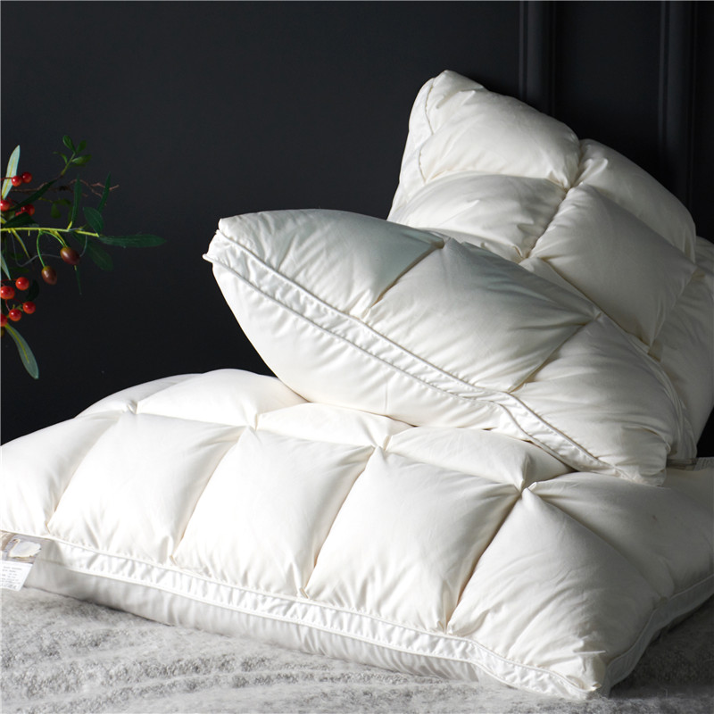 Bao Gồm 2 Chiếc 20X30 